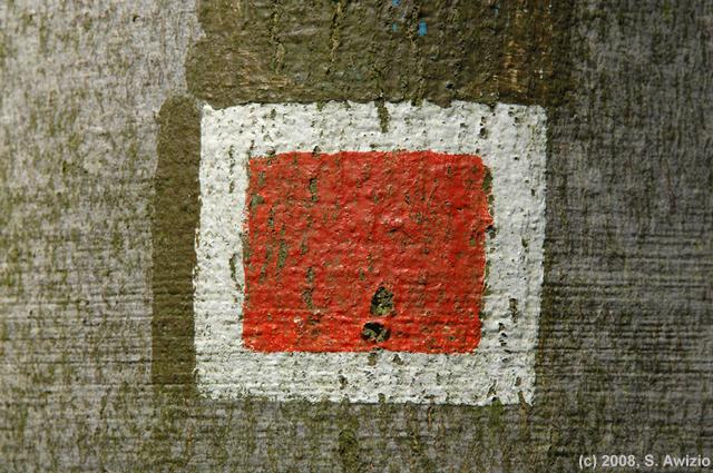 Das rote Quadrat - No. 5 - (C) S. Awizio, 2008